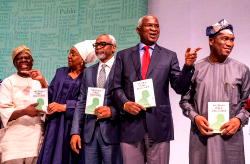 Ibukun Awosika praises Fashola’s book 