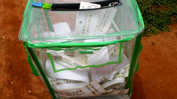 Bye-election: Thugs snatch ballot box in Ondo