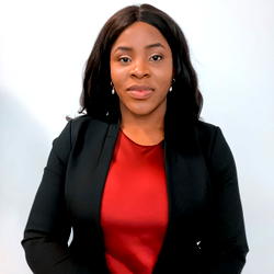 Data solutions, AI can foster business growth —Expert