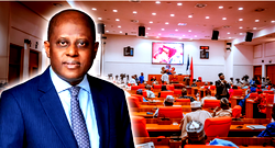 Breaking: Senate begins interaction with Cardoso