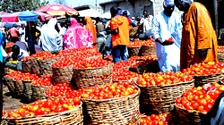 Importation of food items won’t solve our economic problems — MUSWEN President