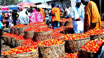 CISLAC, others task FG on 6 agenda to end worsening food crisis 