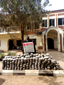 NDLEA intercepts large consignments of illicit drugs in two states, FCT
