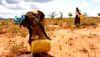 Stakeholders push for bold, unified climate action at 2025 Africa Climate Forum