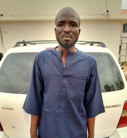 Police arrests suspected car thief in Bauchi 