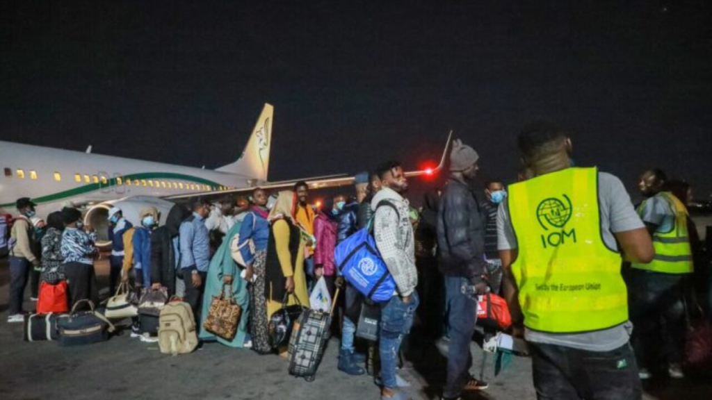 FG, IOM Evacuate 147 Irregular Nigerian Migrants Stranded In Libya ...