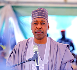 Zulum advocates revival of Sambisa forest