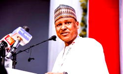 FG debunks report of coup scare