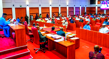 3 unforgettable moments from Senate’s session on Ningi’s ‘budget padding’ debacle