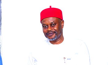 Nnaji’s resignation shows Tinubu’s zero tolerance for corruption  —  APC Chieftain