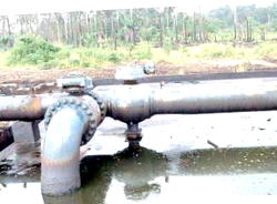 FG sets up committee on Naira crude oil sale