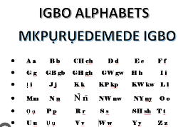 IWA urges S’East govs to establish special schools for Igbo language