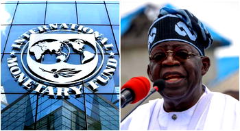 Nigeria must battle food insecurity as priority — IMF