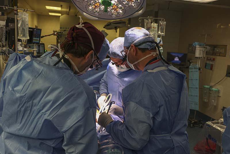 US surgeons transplant pig kidney into human