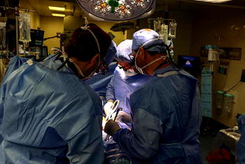 US surgeons transplant pig kidney into human
