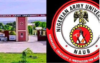 NAUB merger with NDA: PDP chieftain urges Shettima to intervene