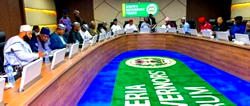 Governors meet, as minimum wage, LG autonomy top agenda