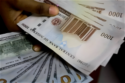 Naira falls to N1, 540/$ in parallel market