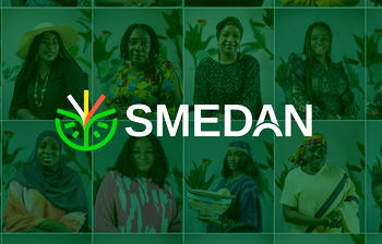 SMEDAN to help small businesses access funds for growth