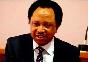 Africa should help Haiti, as war-torn Ukraine sent grains to Nigeria – Shehu Sani