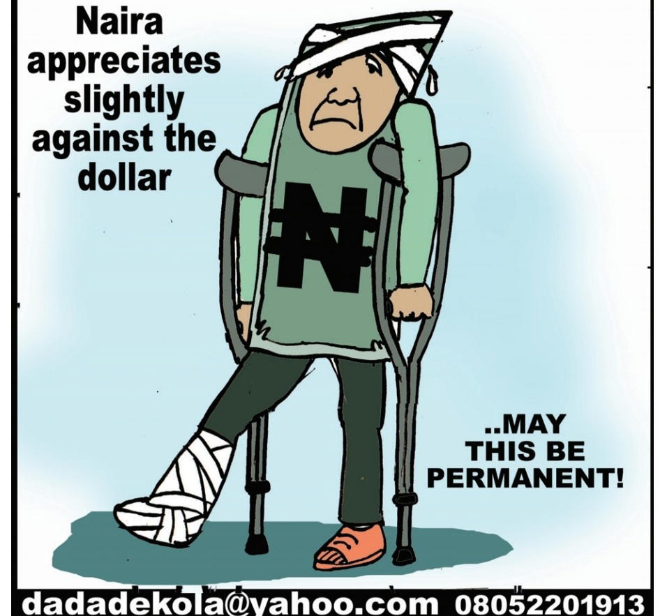 Cartoon: Naira asks 'Who made my clutches?' - Vanguard News