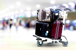 Japa: Time mgt, food, dressing, other culture shocks to understand before relocating to US, UK, Canada