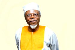 Falola, others condemn history of Western interruption of democratic practice in Africa