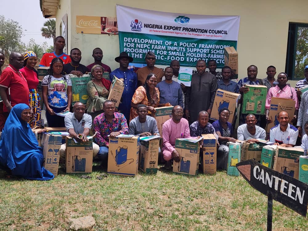FG to restore hope in ginger farming, set up presidential task force