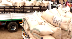 Ramadan: Govt subsidizes Maize, Millet, Guinea Corn for residents in Katsina