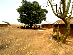 Lucky escape in Nigerian kidnapping attack