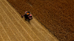 Global warming to raise food prices, inflation – study