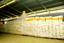 Hardship: It’s insensitive to throw 60th birthday party — Sen Abiru distributes food to 10,000 in Lagos