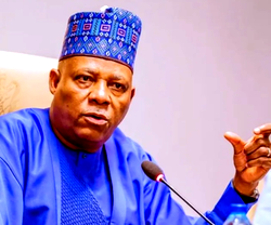 Shettima seeks stronger FG, private sector synergy for economic growth