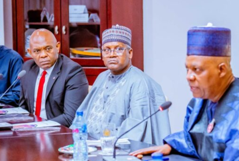 Tinubu forms economic coordination council, names Dangote, Elumelu as ...