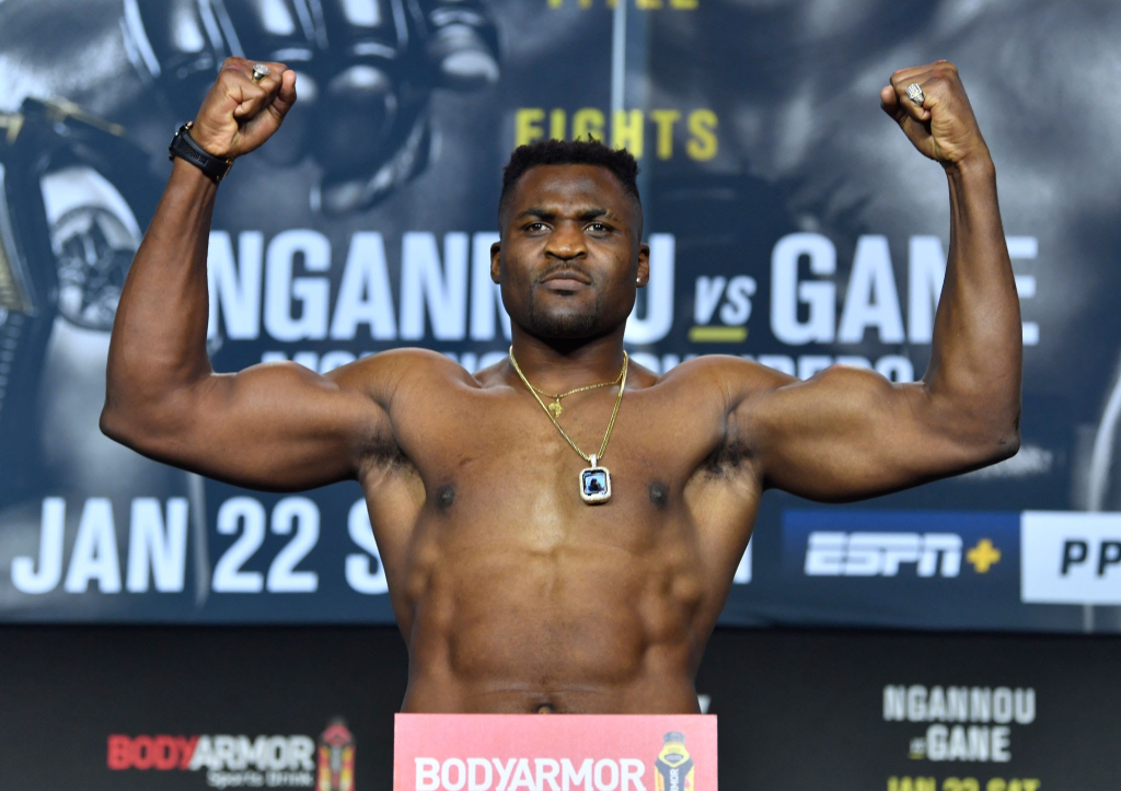 8 things to know about Cameroonian fighter, Francis Ngannou - Vanguard News