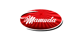Mamuda Group: Thriving Amidst Economic Turbulence – A Testament to Nigeria’s Potential
