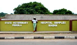 Corps member renovates veterinary hospital complex Mokola, Ibadan