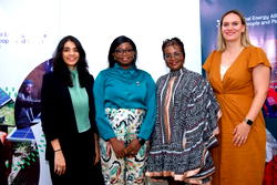 Clean Energy: Why women are under-represented in management – Report