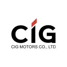 Arogundade appointed Executive Director of CIG Motors Group