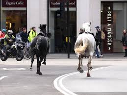 Escaped army horses injure four people on London streets