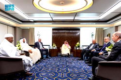 Saudi leads OIC, Arab League demand sanctions against Israel over Gaza