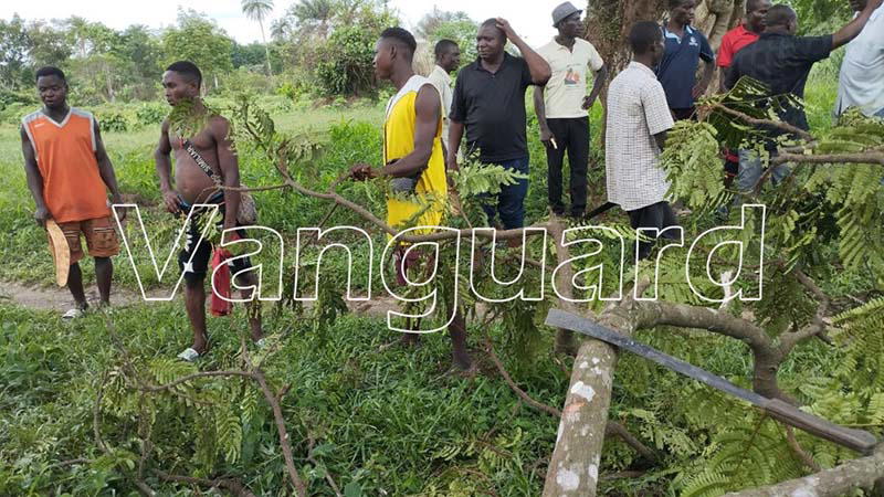 Exclusive Photos: How Okuama residents are living in the forest
