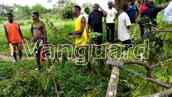 Okuama-Ewu: Displaced villagers recount more sorrows from forest
