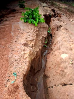 Delta community sends SOS to Oborevwori, NNDC over state of road