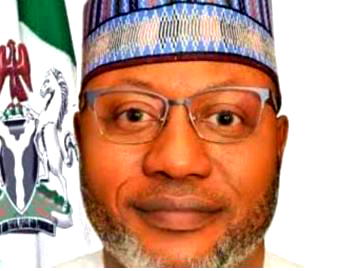 We must safeguard our ecosystems from degradation, exploitation – Balarabe