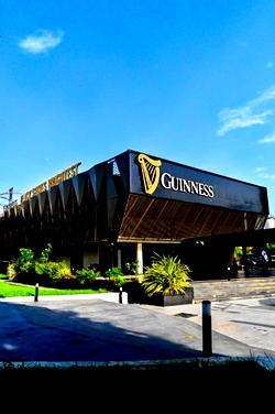 Guinness Nigeria grows revenue by 28% to N220.3 bn amid economic headwinds