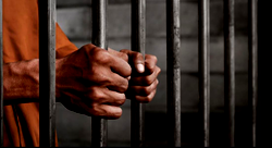 Beyond FG’s 386 terror convictions