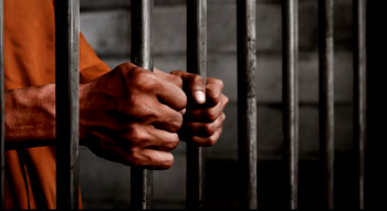 Beyond FG’s 386 terror convictions