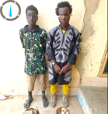Two Boko Haram bomb experts surrender in Borno