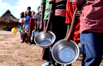 Nearly 282 million people faced acute hunger in 2023 – UN